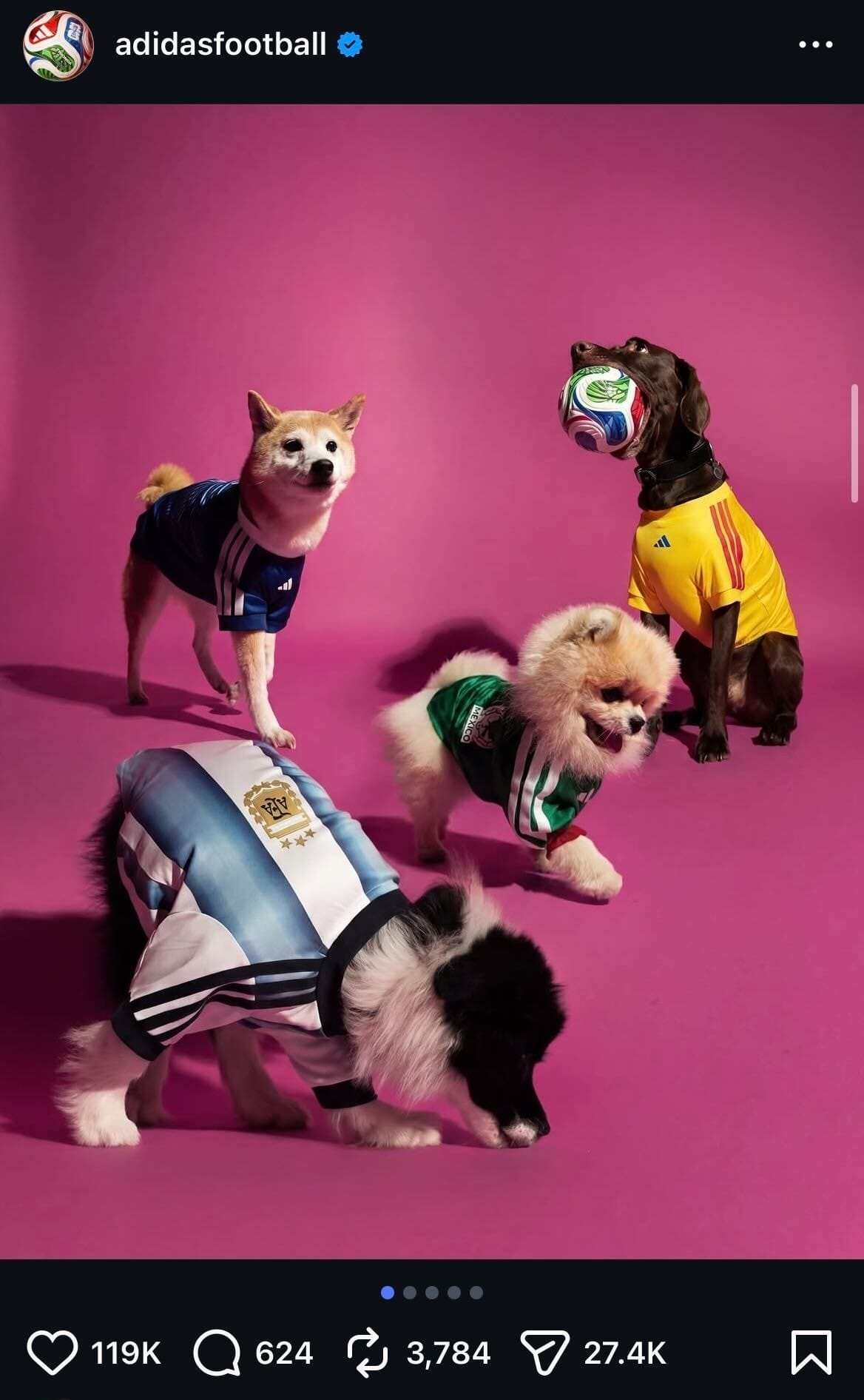 Adidas world cup campaign on insta with dogs in jerseys