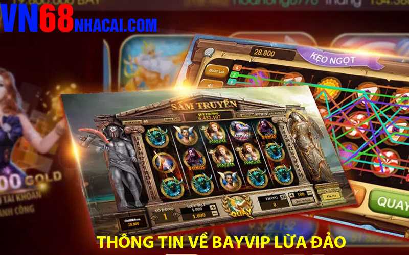 Làm sáng tỏ thông tin về Bayvip Lừa đảo hay uy tín?