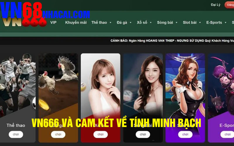 VN666 và cam kết về tính minh bạch