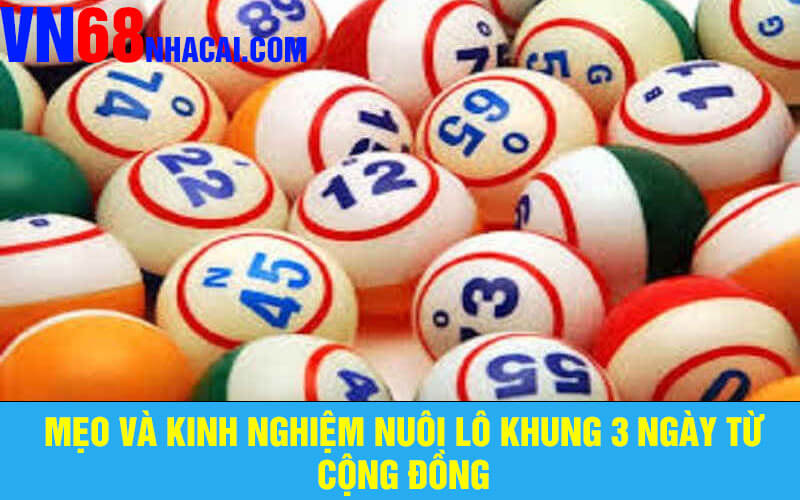 Mẹo Và Kinh Nghiệm Nuôi Lô Khung 3 Ngày Từ Cộng Đồng