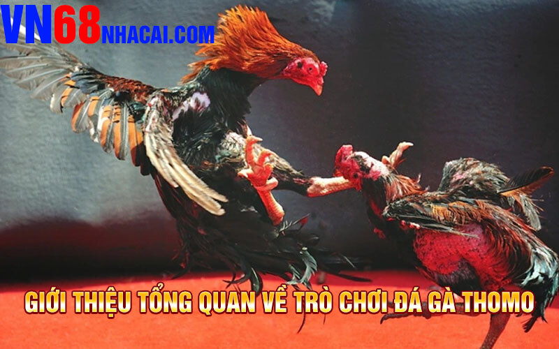 Giới Thiệu Tổng Quan Về Trò Chơi Đá Gà Thomo