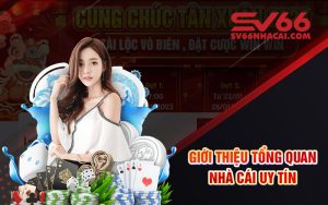 Nhà Cái SV66 - Địa Điểm Cá Cược Trực Tuyến Uy Tín Nhất 2024